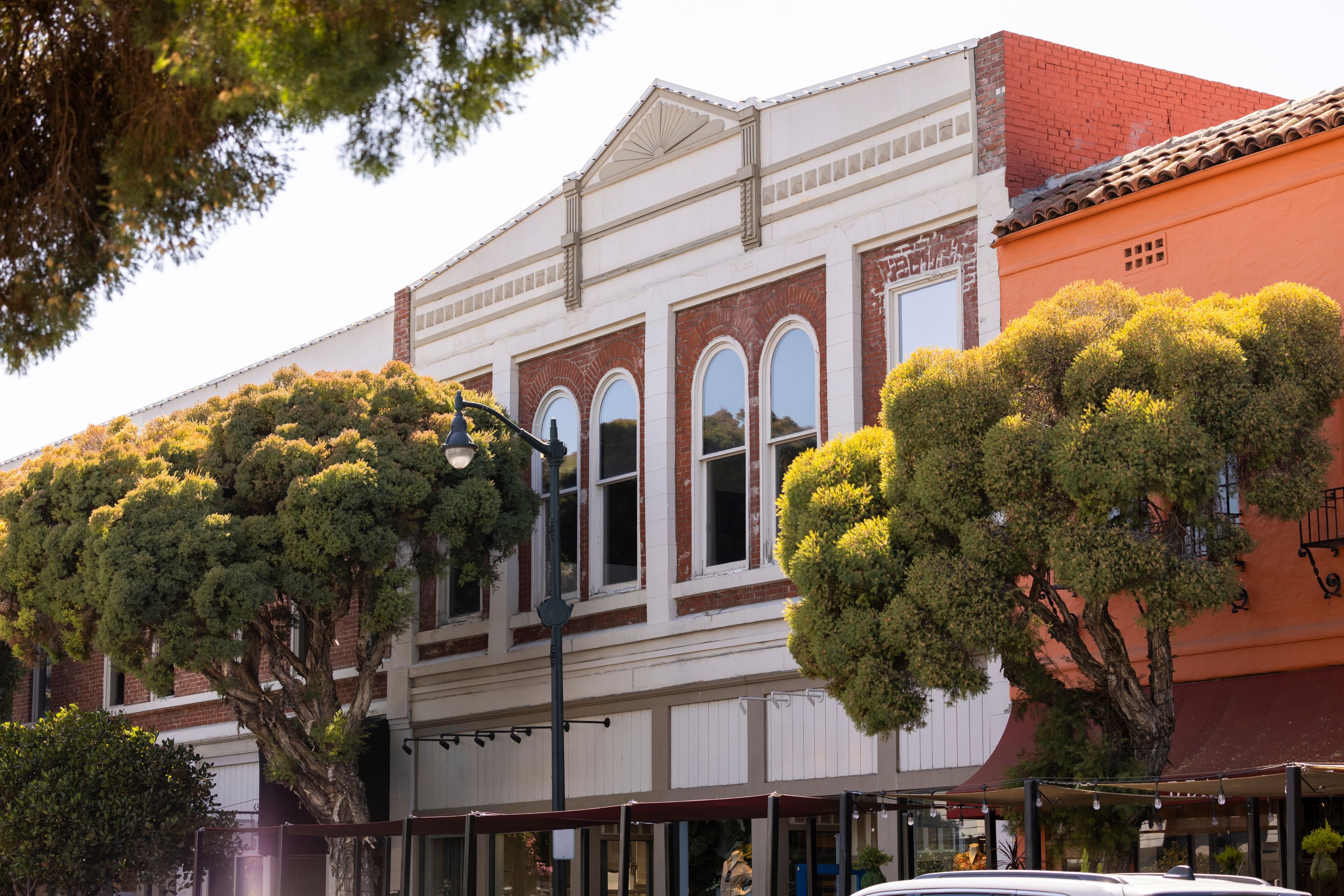 Los Gatos Shutterstock 2541735953